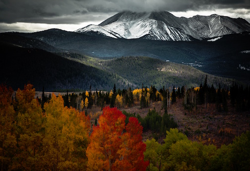 View of a mountain in the autumn, the leaves of the trees are changing colors. 